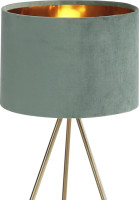 Интерьерная настольная лампа Fuego SL6242.704.01 ST Luce