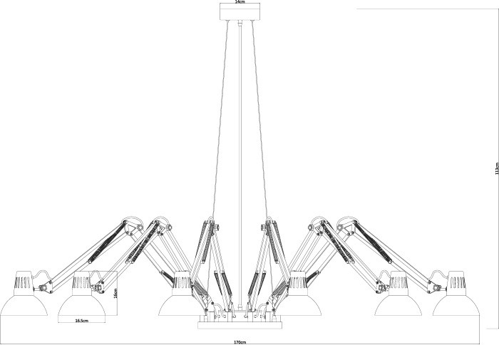 Подвесная люстра Ragno A2043SP-12BK Arte Lamp