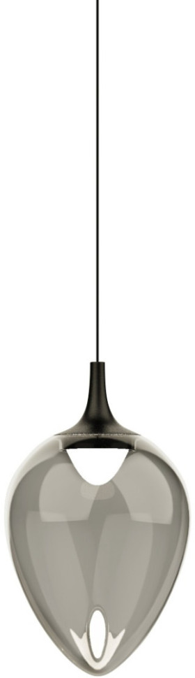 Подвесной светильник MD24001012 MD24001012-1A black/smoky DeLight Collection