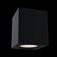 Потолочный светильник Maytoni Alfa C013CL-01B Потолочный светильник Maytoni Alfa C013CL-01B