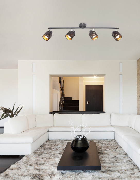 Спот Troy 54121-4 Globo