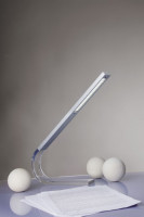 Офисная настольная лампа Enjoy 79392 Paulmann