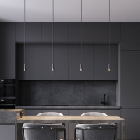 Подвесной светильник Pino 50311 LED Elektrostandard