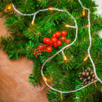 Гирлянда HOME 024834 Ardecoled