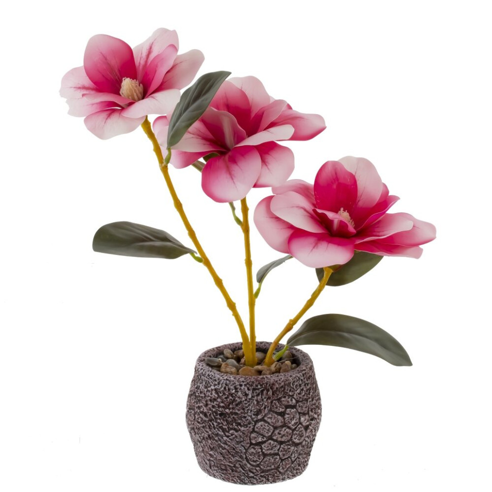 Цветочная композиция "Магнолия", L23 W18 H43 см