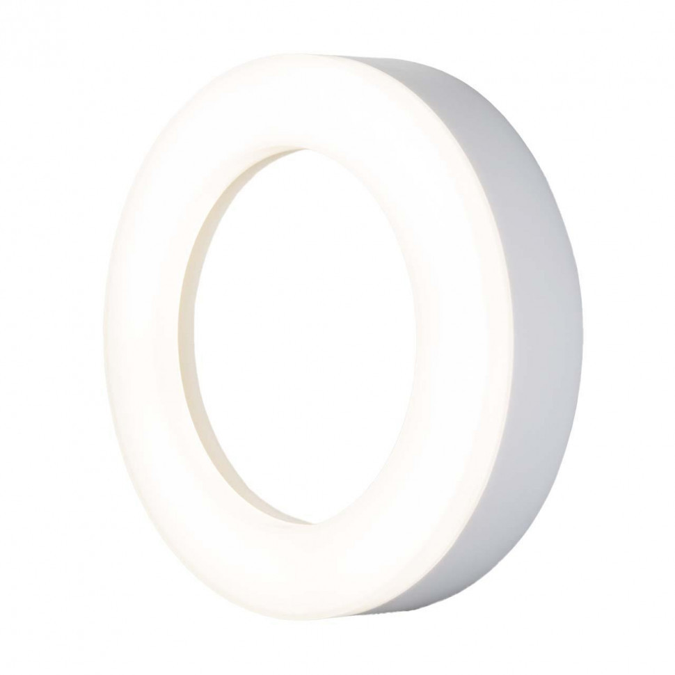 Уличный настенный светодиодный светильник Elektrostandard LTB52 Led белый a048714