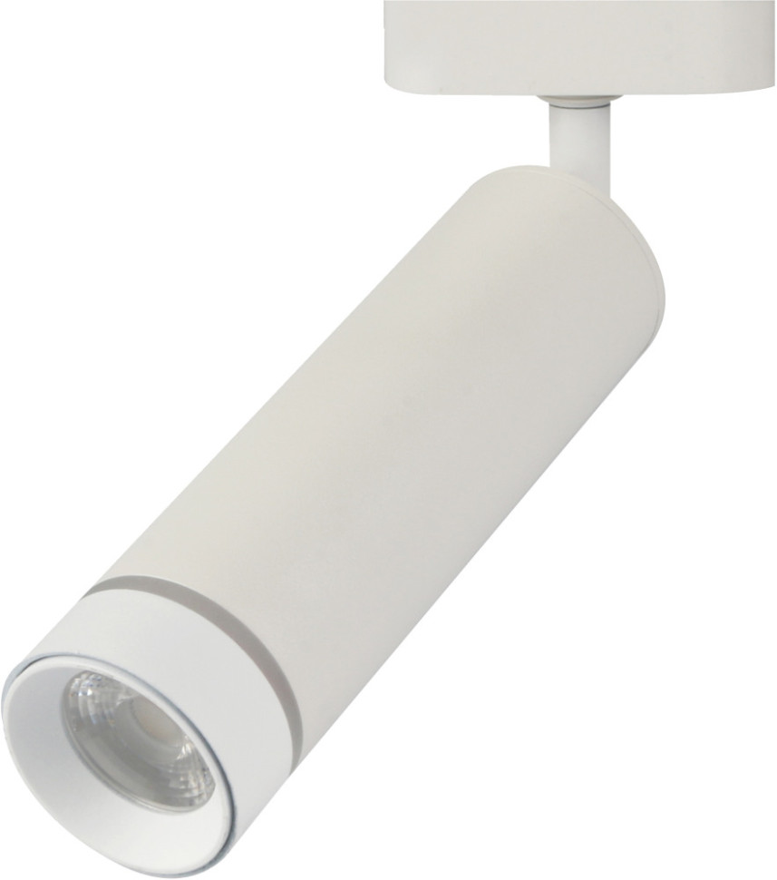 Трековый светильник 20009 20009TRA/01LED SWH Escada