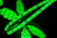 Светодиодная лента SWG360-12-4.8-G-65 SWG