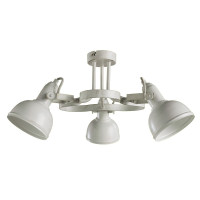 Потолочная люстра Martin A5216PL-3WG Arte Lamp