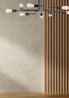 Потолочная люстра Gilbert T532CL-08B Maytoni