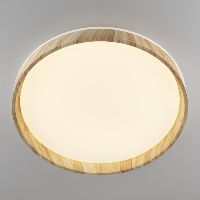 Потолочный светильник Enzo CL753452G Citilux