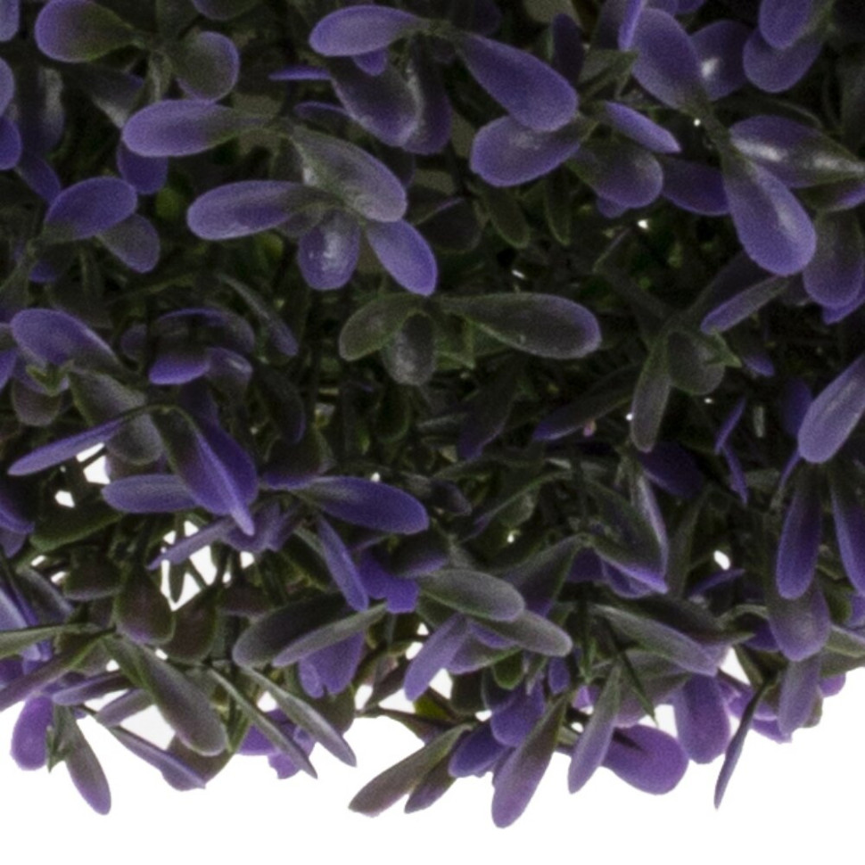 Цветочная композиция "Шар Самшит", L18 W18 H18 см