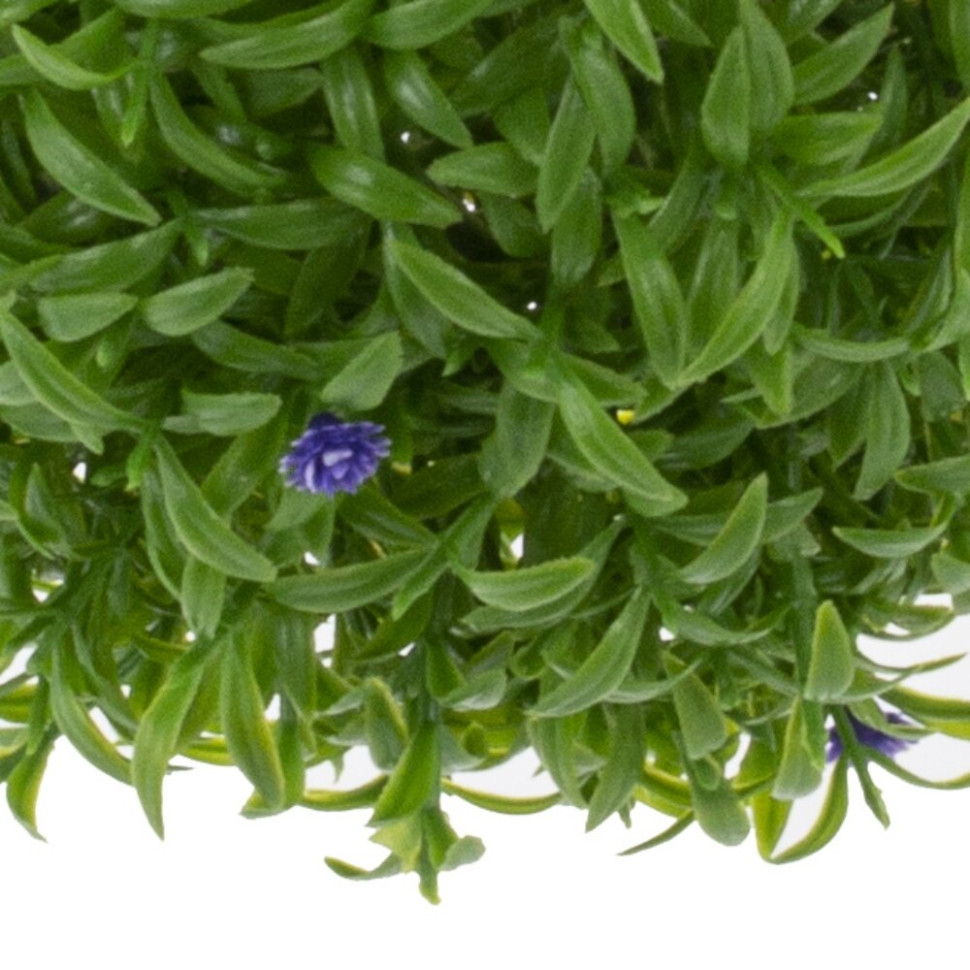 Цветочная композиция "Шар Самшит", L18 W18 H18 см