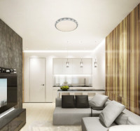 Потолочный светильник LED LAMPS LED LAMPS 81073 Natali Kovaltseva