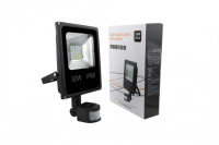 Прожектор уличный FL-SMD-30-CW-S SWG