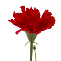 Цветок искусственный "Гвоздика", L7 W7 H30 см