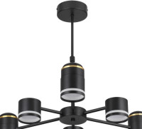 Потолочная люстра Virsava 8234/6C Lumion