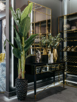 Банановый куст в горшке Банановый куст в горшке