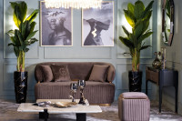 Банановый куст в горшке Банановый куст в горшке