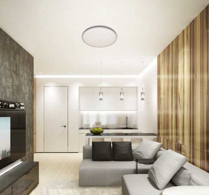 Потолочный светильник LED LAMPS LED LAMPS 81077 Natali Kovaltseva