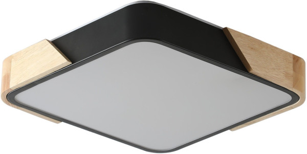 Потолочный светильник Alberro ZRS.01281.60 Zortes