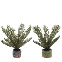 Цветочная композиция "Пальма", L23 W18 H45 см, 2в.