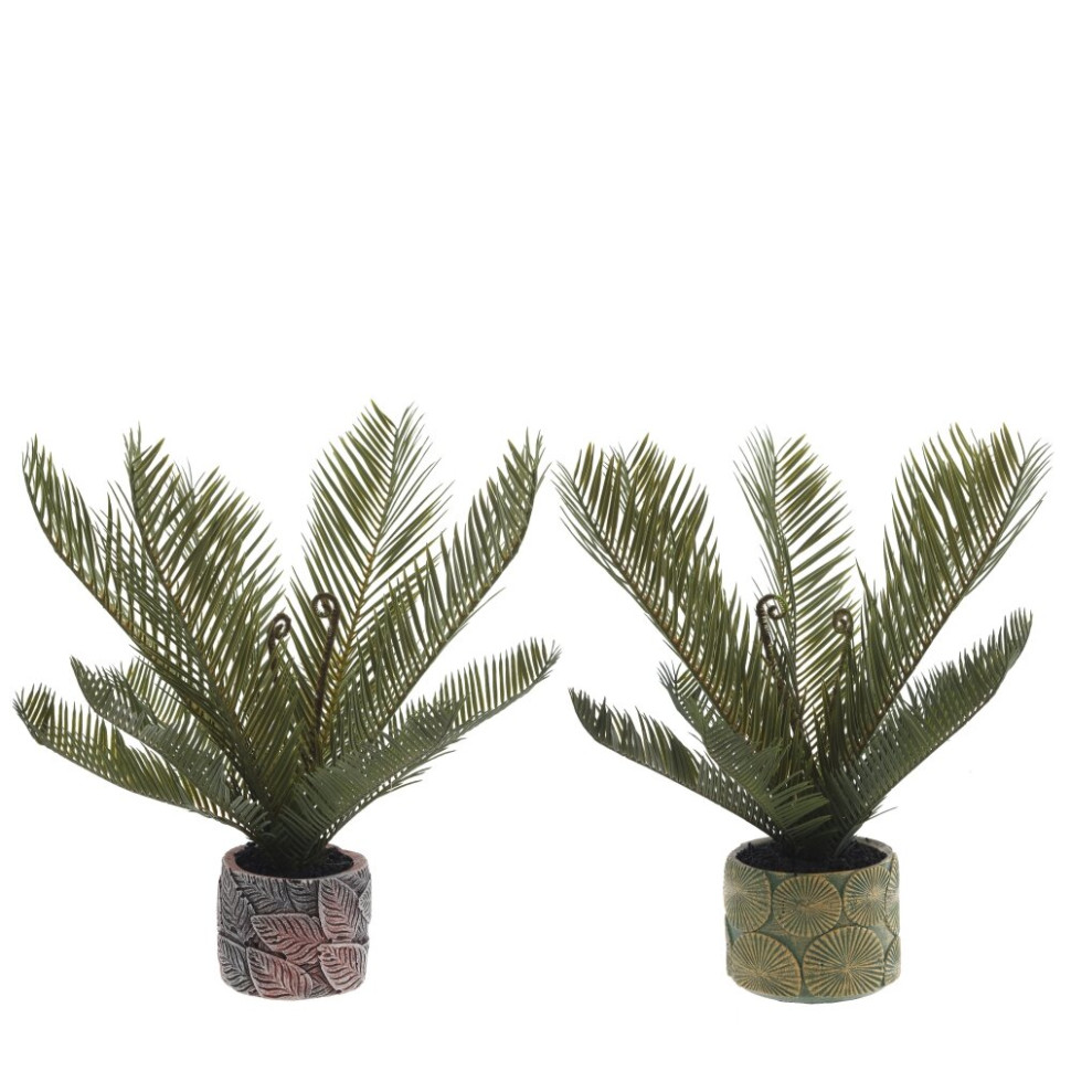 Цветочная композиция "Пальма", L23 W18 H45 см, 2в.