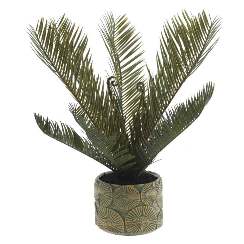 Цветочная композиция "Пальма", L23 W18 H45 см, 2в.