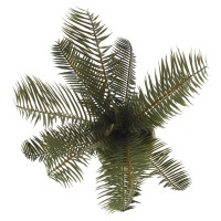 Цветочная композиция "Пальма", L23 W18 H45 см, 2в.