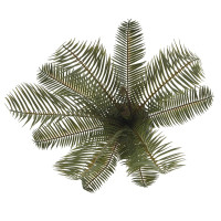 Цветочная композиция "Пальма", L23 W18 H45 см, 2в.