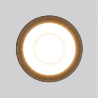 Уличный светодиодный светильник Elektrostandard Light Led 35132/H черный a056231