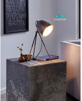 Интерьерная настольная лампа Chester 49385 Eglo