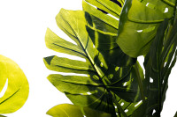 Монстера искусственная в горшке Монстера искусственная в горшке