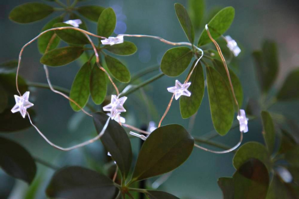 Гирлянда DEW DROP 411069 Eglo