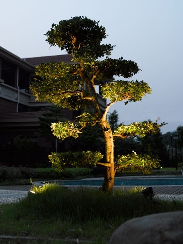 Грунтовый светильник  W77169 Gr Oasis Light