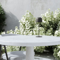 Уличная настольная лампа Bitty TL70260 Elektrostandard