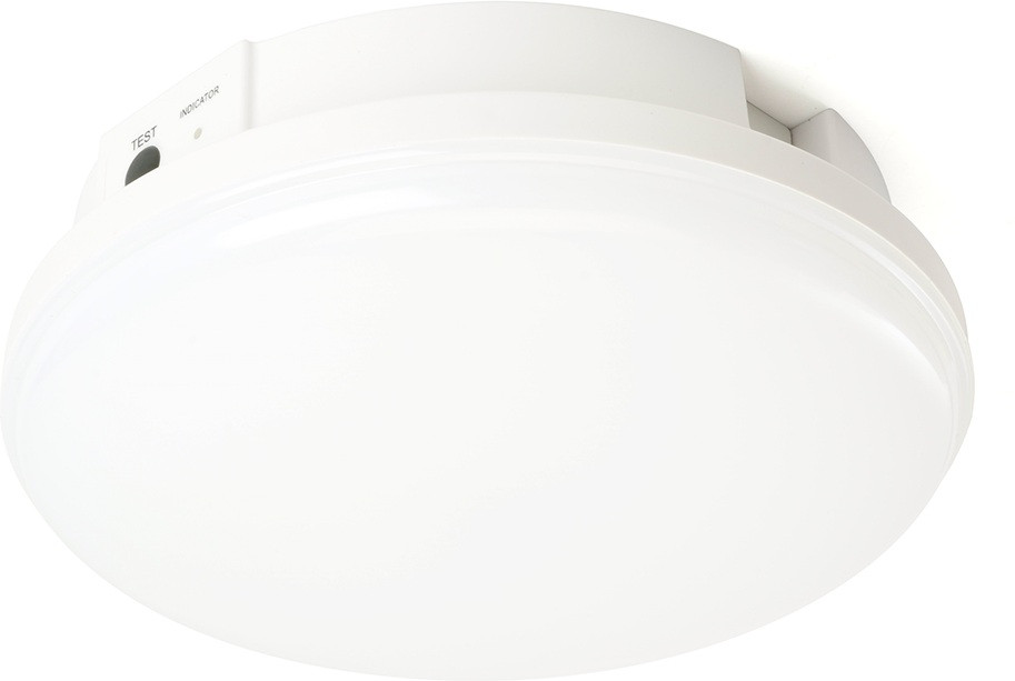 Потолочный светильник AL3025 48985 Feron