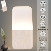 Ночник  33302-0.2-01 Reluce