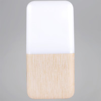 Ночник  33302-0.2-01 Reluce