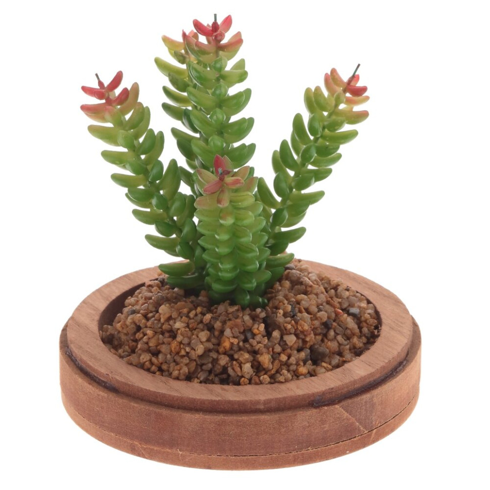 Цветочная композиция "Суккулент", L19 W19 H24 см