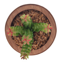 Цветочная композиция "Суккулент", L19 W19 H24 см