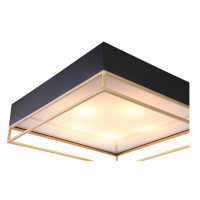 Потолочный светильник ST Luce Chodo SL1127.422.05 Потолочный светильник ST Luce Chodo SL1127.422.05