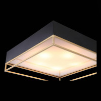 Потолочный светильник ST Luce Chodo SL1127.422.05 Потолочный светильник ST Luce Chodo SL1127.422.05