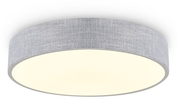 Потолочный светильник Ruler FR5555CL-L30BGG Freya