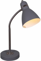 Офисная настольная лампа  02289-0.7-01 GY Reluce