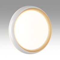 Настенно-потолочный светодиодный светильник Sonex Pale Tofiq White 7650/DL