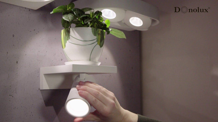 Настенный светильник Bookish DL18441/01 White R Dim Donolux