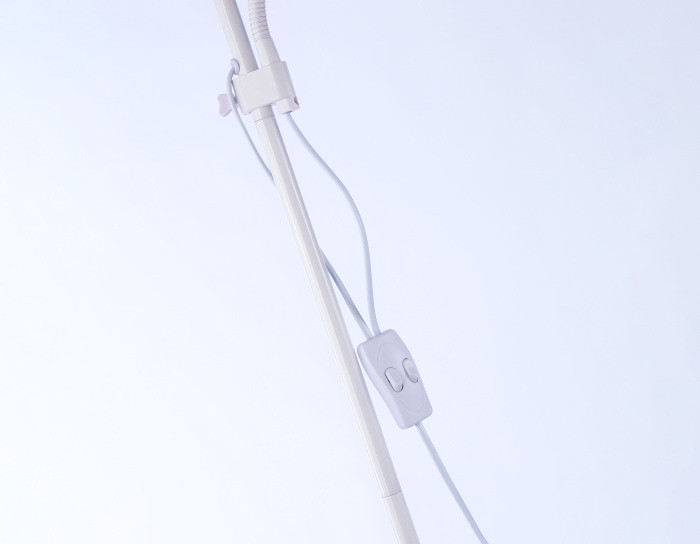 Торшер TRADITIONAL TR97622 Ambrella