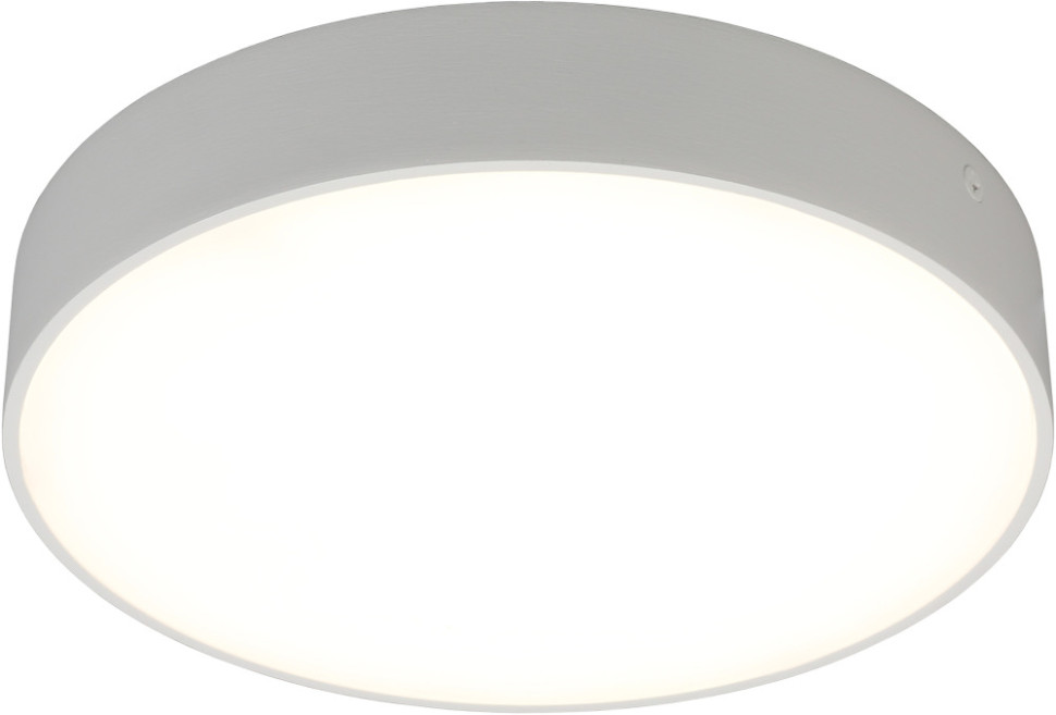 Потолочный светильник Evon APL.0114.09.24 Aployt