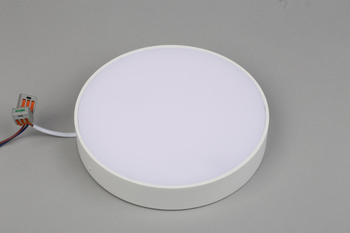 Потолочный светильник Evon APL.0114.09.24 Aployt